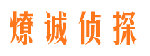 清新市调查公司